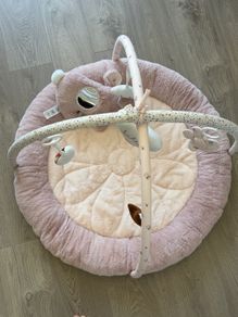 Baby Play Gym