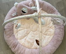 Baby Play Gym
