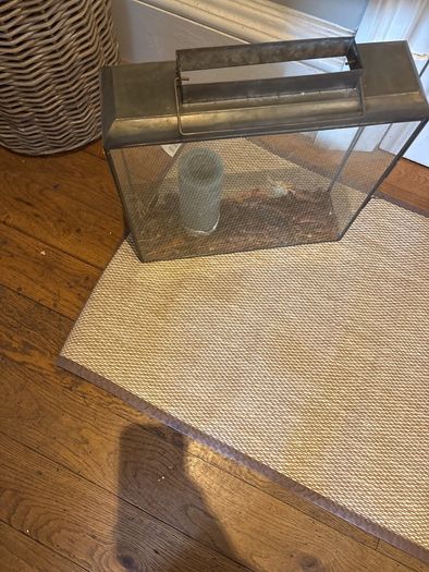 PVC rug 60 by 110 and lantern