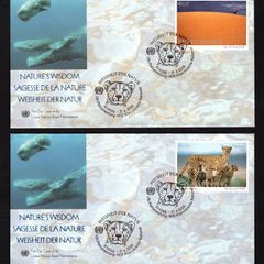 2005 United Nations (Vienna) Nature's Wisdom Commemorative Stamps First Day Cover (FDC)
