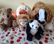 Soft Toys