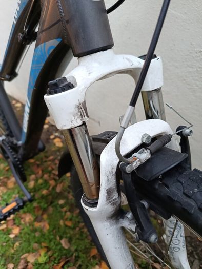 Giant bike