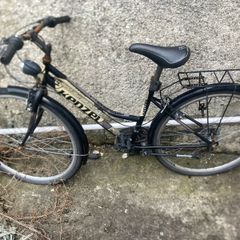 Kenzel Woman Bike