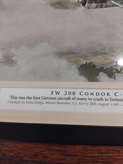 WW2 Plane Crashed in Kerry framed print