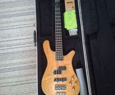 Warwick 1993 Streamer stage 1