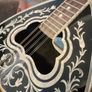 Greek Bouzouki Image 3