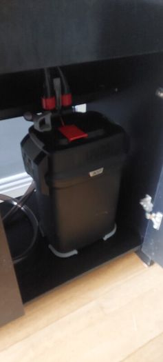 fluval 200 led fish tank