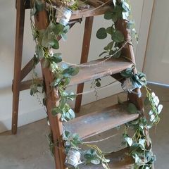 Decorative ladder
