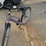 ladies Bike Image 6