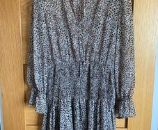 Zara dress