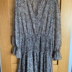 Zara dress