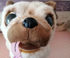 Pets Alive Pug Puppy