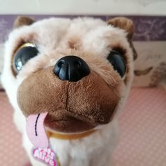 Pets Alive Pug Puppy