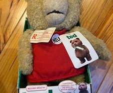 Ted /original  Teddyfrom the motion picture.