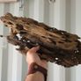 Dragon Wood Mix Sizes Image 5