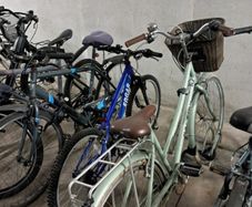 Raleigh for sales