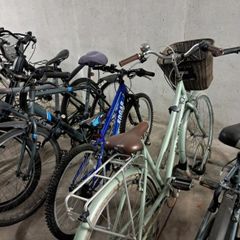 Raleigh for sales