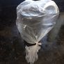Tupperware Milk Foamer New Image 2