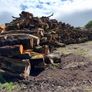 Timber Image 4
