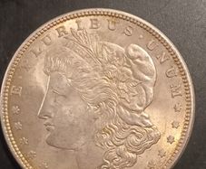 morgan dollar