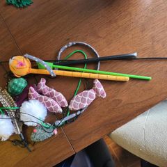 Cat toys