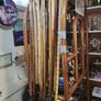 Walking stick Image 6