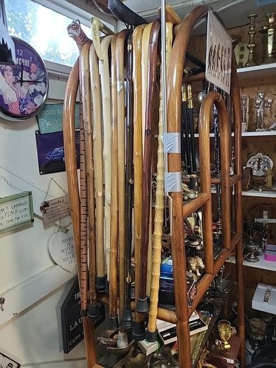 Walking stick