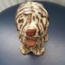 Dog - Money Box - Tremar Pottery - Cornwall Image 6