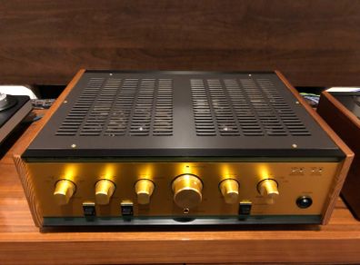 Leben CS600X / Tube Amplifier / like NEW !