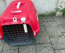 cat carrier