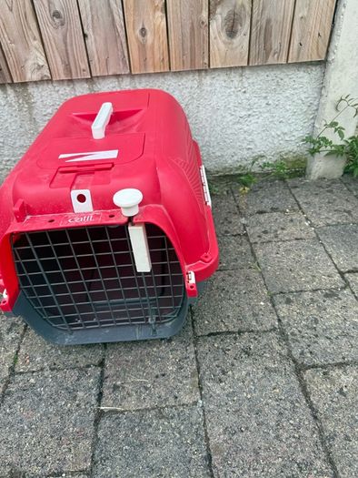 cat carrier