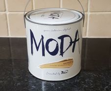 Dulux Paint