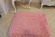 Pet Mattress