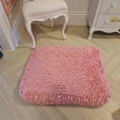 Pet Mattress