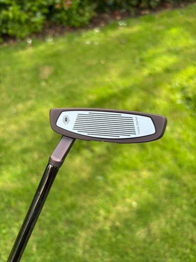 Taylormade spider tour x