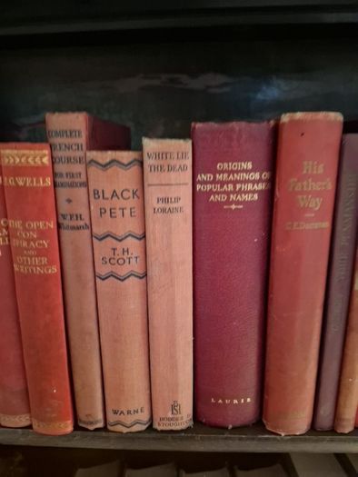large collection vintage antiquarian books. 4 complete shelves.