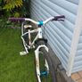 Specialized P1 Dirt Jump Bike Image 7