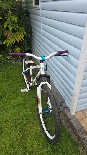 Specialized P1 Dirt Jump Bike