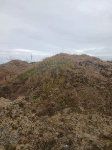 Sub Soil - Fill