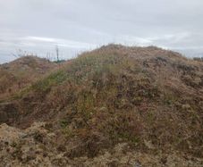 Sub Soil - Fill