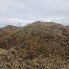 Sub Soil - Fill
