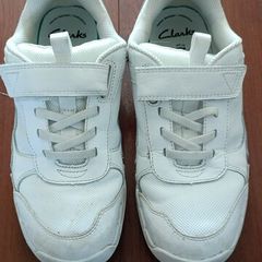Clarks trainers white