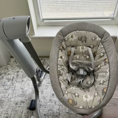 Joie Serina Swivel Multi-Motion Swing