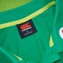 Mint IRFU Canterbury Polo/Top/Jersey Size L Adults Image 3