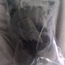 Pokemon Pikachu Black Lightning 20cm plush Image 3