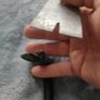 12 inch Pry Bar Image 4