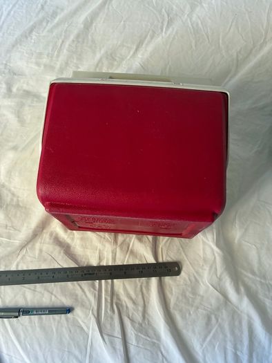 Small igloo Budweiser cooler, heavy Duty