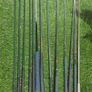 golf Image 7