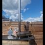 Pizza Oven Image 4