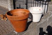 2 Terracotta pots